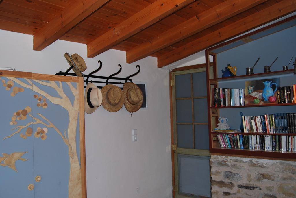 Villa Spiti Elaionas Καρφάς Εξωτερικό φωτογραφία