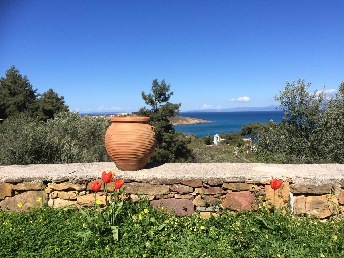 Villa Spiti Elaionas Καρφάς Εξωτερικό φωτογραφία